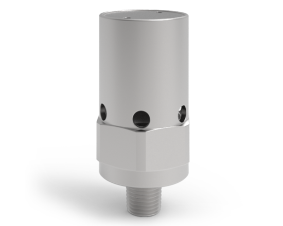 Absolute Pressure Relief Valve 