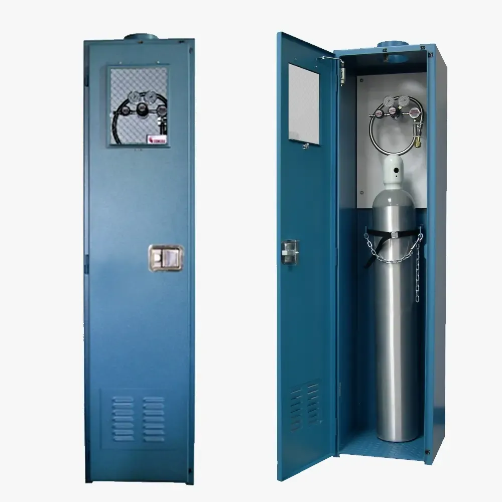 C-Series Gas Cabinet