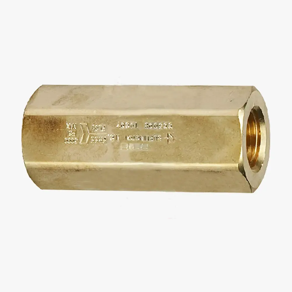 Cryogenic Check Valve