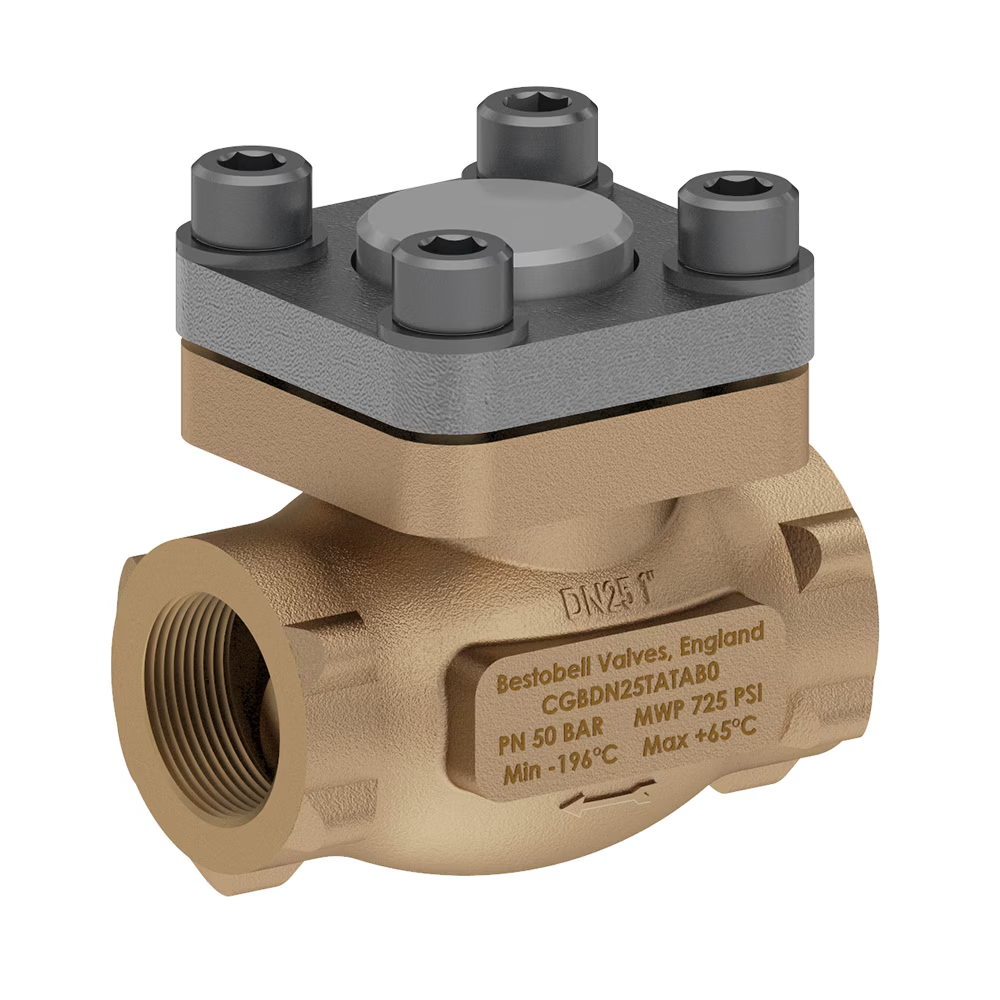 Cryogenic Check Valves