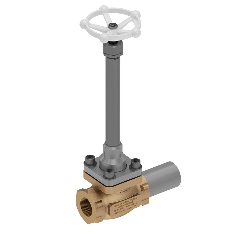 Cryogenic Globe Valves