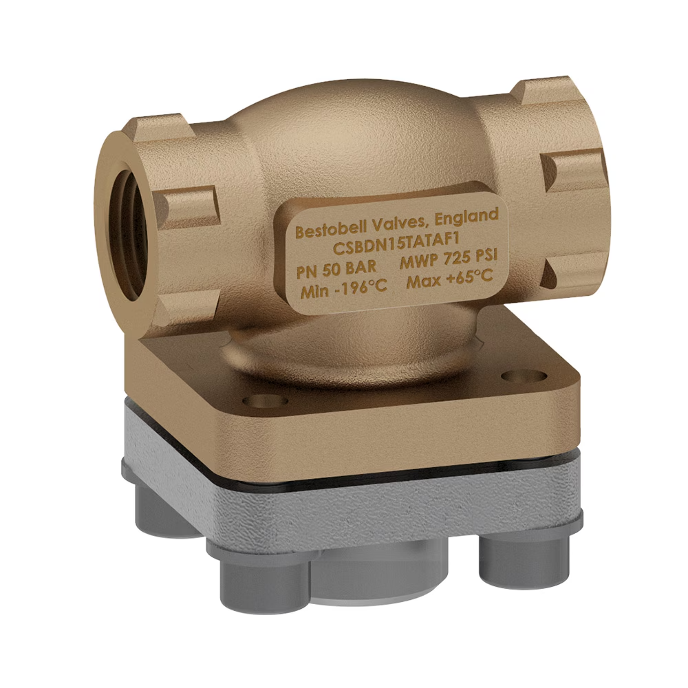 Cryogenic Strainers