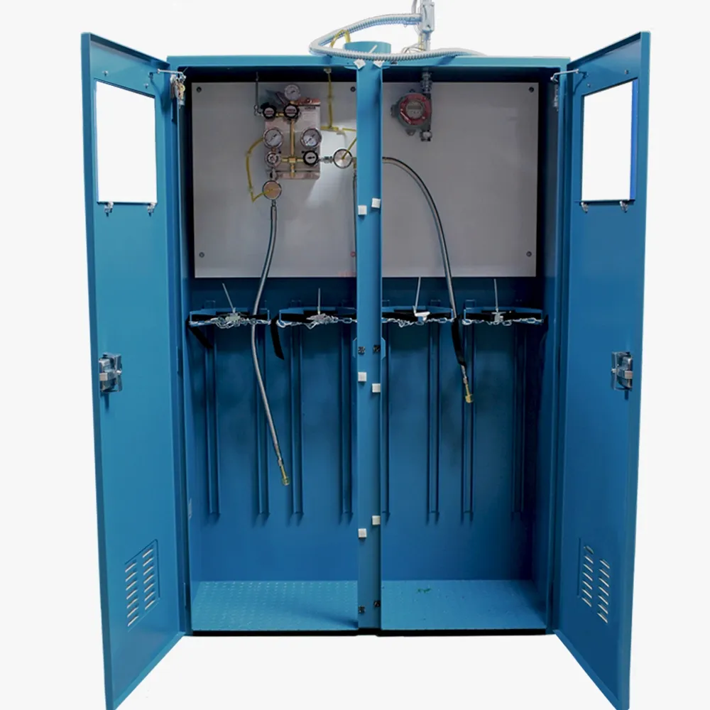 Custom Gas Cabinet