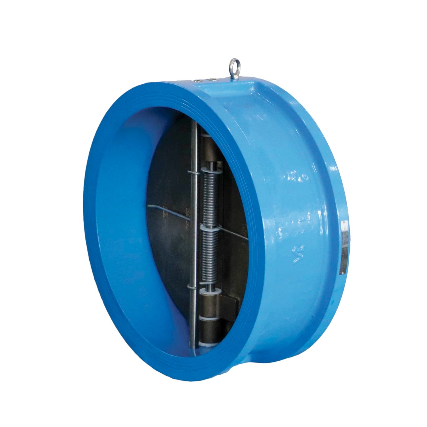 Dual Flap Check Valve