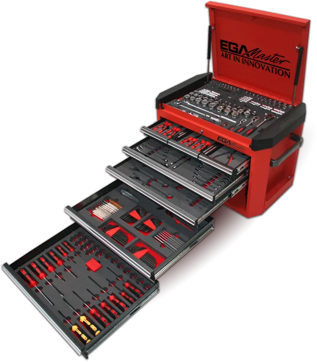 EGA Master photo