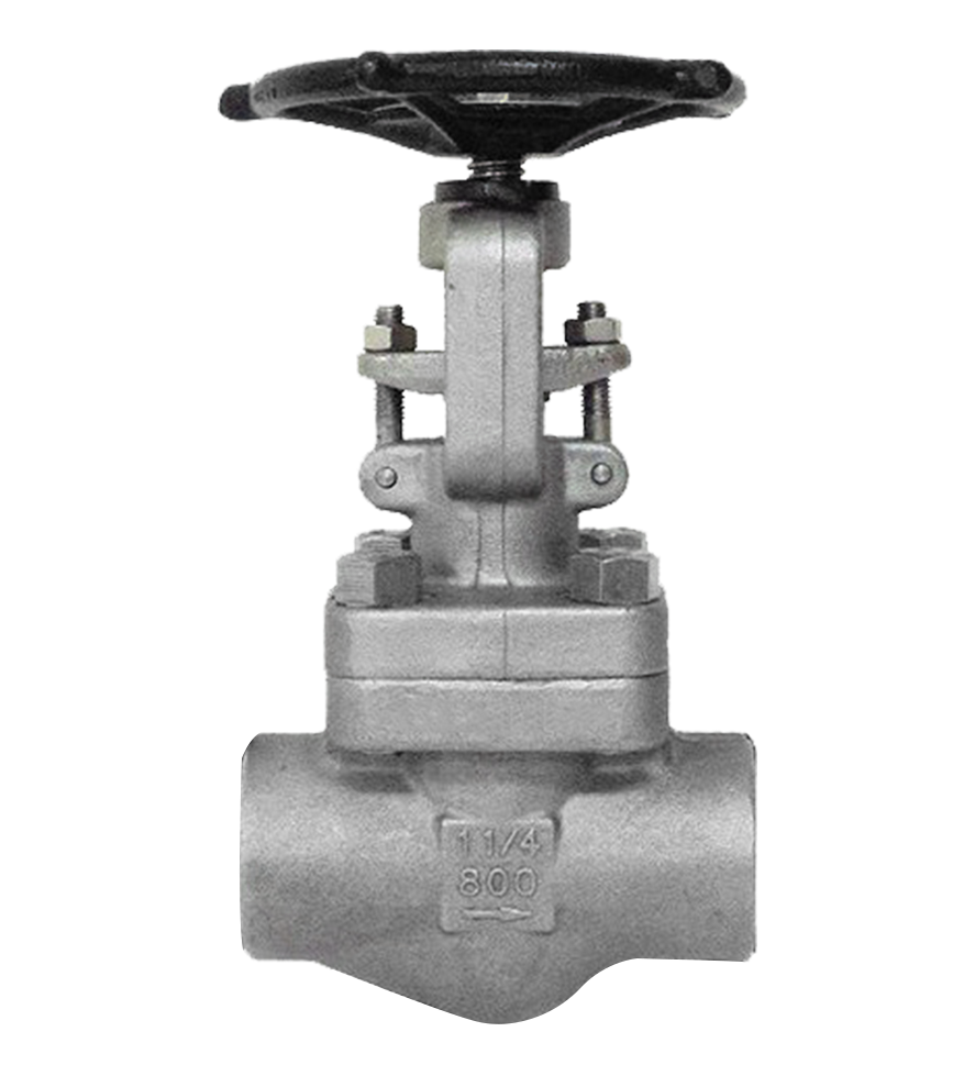 Forged Globe Valve