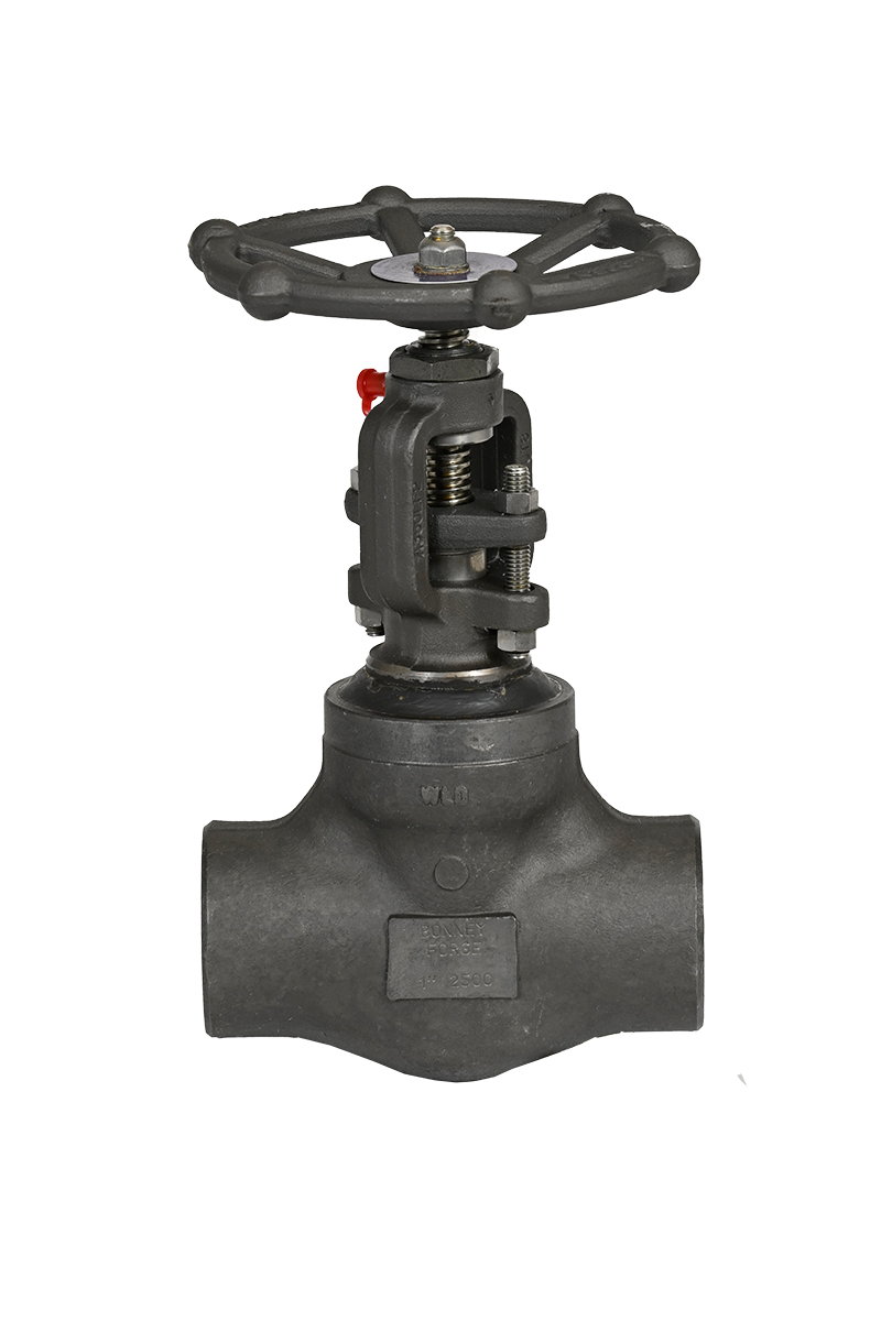 Globe Valves