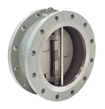 Retainerless Wafer Double Flange Body Double Disc